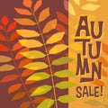 Autumn design template with colorful layered leaves.