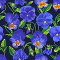Seamless vector pattern with Pansies, blue and yellow Violas, realistic Flowers with lettuce leaves on dark background.