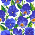 Vector realistic blue Pansies with green leaves