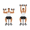 Man doing Seated Dumbbell overhead shoulder press . Top body workout. Royalty Free Stock Photo