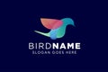 colorful humming bird logo design template