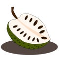 illustration of sliced Ã¢â¬â¹Ã¢â¬â¹soursop fruit