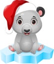 Cute polar bear sitting on ice floe Royalty Free Stock Photo