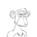 Bored ape monkey yacht club sketch on white background Royalty Free Stock Photo