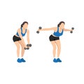 Woman doing Dumbbell bent over reverse flyes. Flat vector