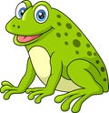 Cute happy green frog cartoon on white background Royalty Free Stock Photo