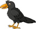 Cute crow cartoon on white background