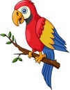 Cute macaw cartoon on tree branch Royalty Free Stock Photo