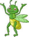 Cute grasshopper cartoon on white background Royalty Free Stock Photo