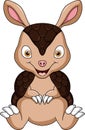 Cute baby armadillo cartoon sitting