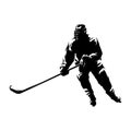 ice hockey silhouettes Royalty Free Stock Photo