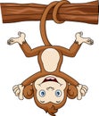 Cute monkey cartoon hanging in tree branch Royalty Free Stock Photo