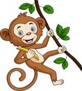 Cute monkey cartoon hanging and holds banana in tree branch Royalty Free Stock Photo