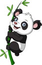 Cute baby panda cartoon hanging on the bamboo Royalty Free Stock Photo