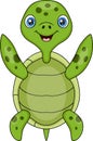 Cute baby turtle cartoon posing Royalty Free Stock Photo
