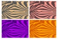 collection of Colorful zebra skin pattern