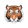 tiger head lowpoly style vector illustration design Royalty Free Stock Photo