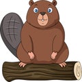 Cute chipmunk cartoon on wooden