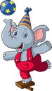 Cute circus elephant playing a ball Royalty Free Stock Photo