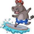 Cute hippo cartoon playing surfing Royalty Free Stock Photo