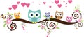 colorful cartoon funny owls set on white background Royalty Free Stock Photo