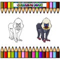 Cartoon mandrill baboon for coloring book
