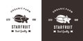 vintage starfruit logo illustration suitable for fruit shop and fruit farm