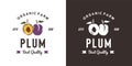 vintage plum fruit logo illustration suitable for fruit shop and fruit farm