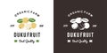 vintage duku fruit logo illustration suitable for fruit shop and fruit farm
