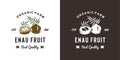 vintage enau fruit logo illustration suitable for fruit shop and fruit farm Royalty Free Stock Photo