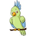 Cute cockatoo bird cartoon on tree branch