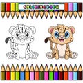 Cute baby Cheetah cartoon sitting for coloring book Royalty Free Stock Photo