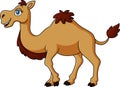 Cute camel cartoon on white background Royalty Free Stock Photo