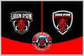 Wild boar head with shield logo template collection