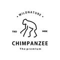 vintage retro hipster chimpanzee logo