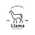 vintage retro hipster llama logo