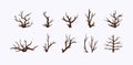 collection of landscape icons of various twigs and tree branches Royalty Free Stock Photo