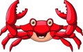 Cute happy crab on white background