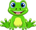 Cartoon cute baby frog sitting Royalty Free Stock Photo