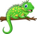 Cute green iguana cartoon