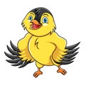 Basic RGBCartoon Yellow Canary bird on white background