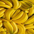 pile of fresh bananas Royalty Free Stock Photo