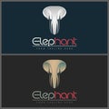 Elephant ivory face head luxury logo set template design Royalty Free Stock Photo