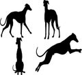 Elegant Black Greyhound Dog Silhouettes in Various Poses Royalty Free Stock Photo