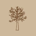 Abstract stylized tree Royalty Free Stock Photo