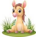 Cartoon baby horse sitting in the grass