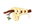 Cute snake cartoon on tree branch Royalty Free Stock Photo