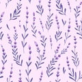 Elegant lavender buds on the purple background. Vector seamless pattern with flowers. Lavender fabric design