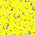 Seamless floral pattern vector design for textile and home decoration. Women clothes daisy pattern illustration.