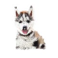 Picture with cute doggi Royalty Free Stock Photo
